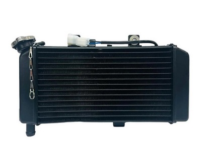 صفحه اصلی راستچین شده 12 Radi 250nk