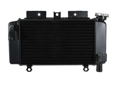 صفحه اصلی راستچین شده 10 Radi 250sr